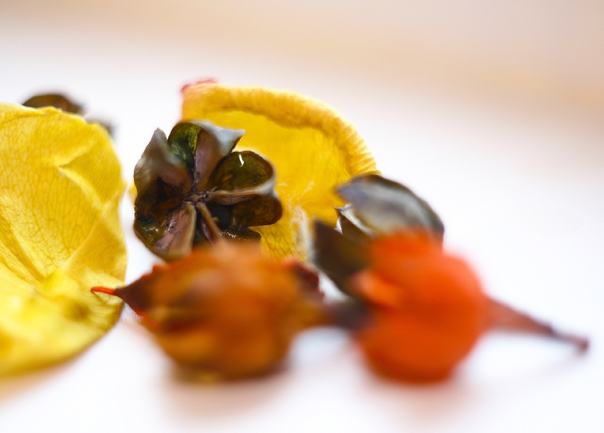 Полный кадр