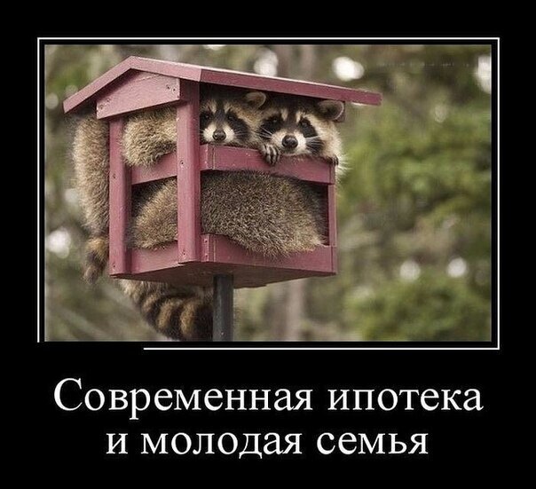 Яндекс. Картинки