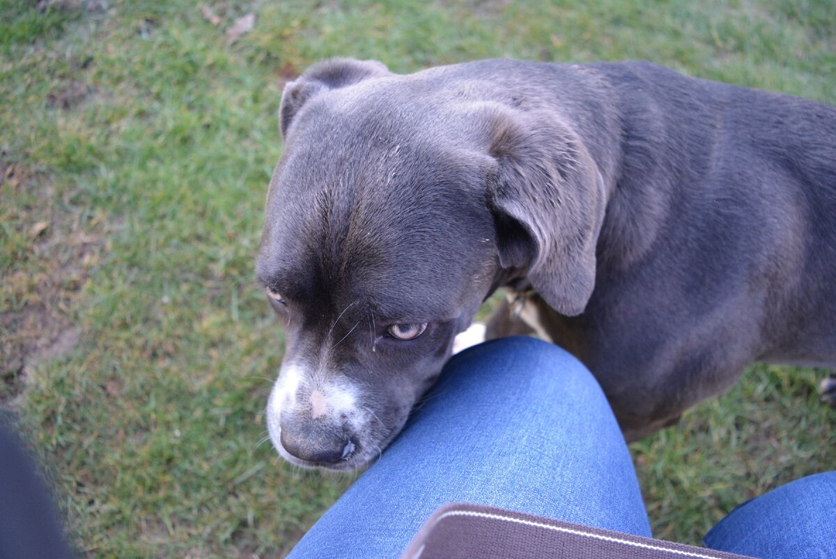 Нежная Мэри