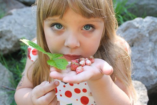 Источник фото - pixabay.com/ru/