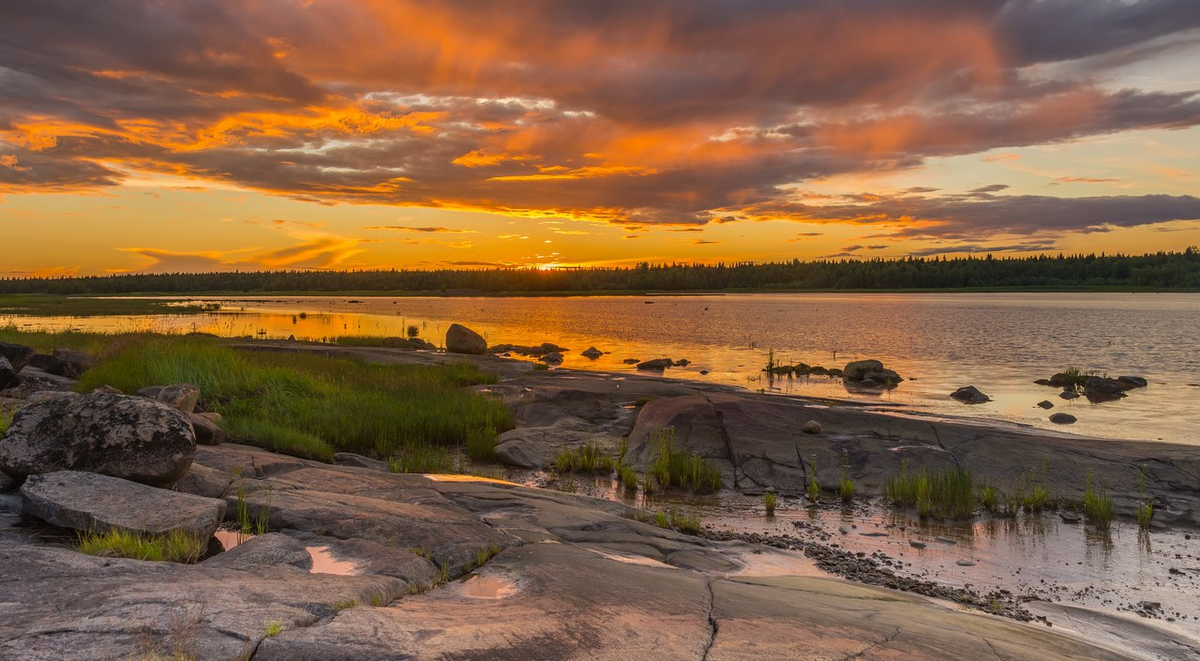 (Фото: Владимир Брагилевский )