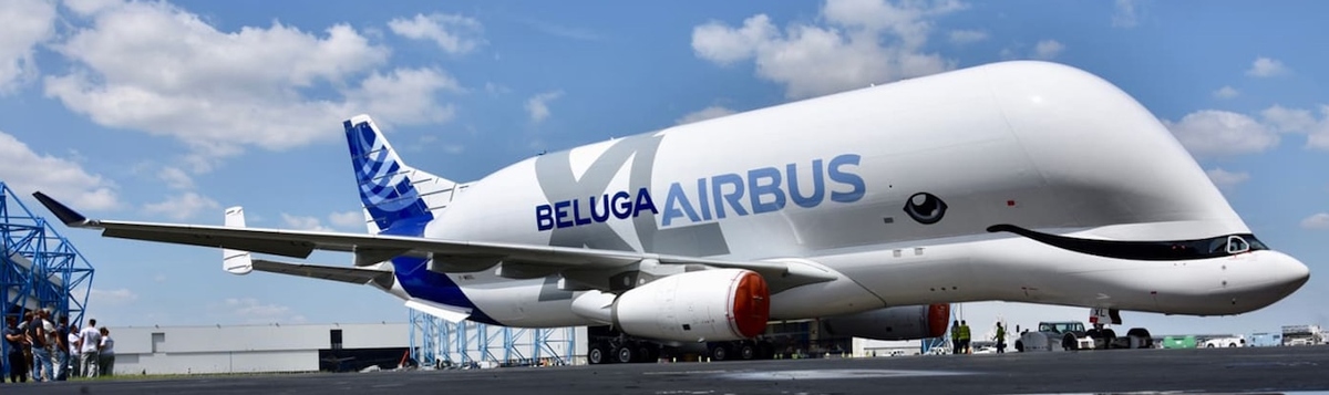 Beluga XL 