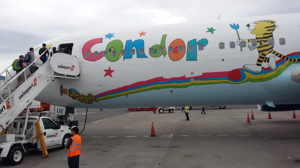 Наш самолет. Сначала даже не поверила, что он может быть Таким !