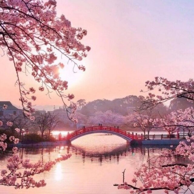 Источник https://www.pinterest.ru
