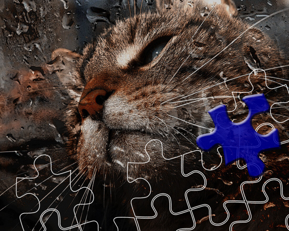 1. Изображение Christine Sponchia с сайта Pixabay 