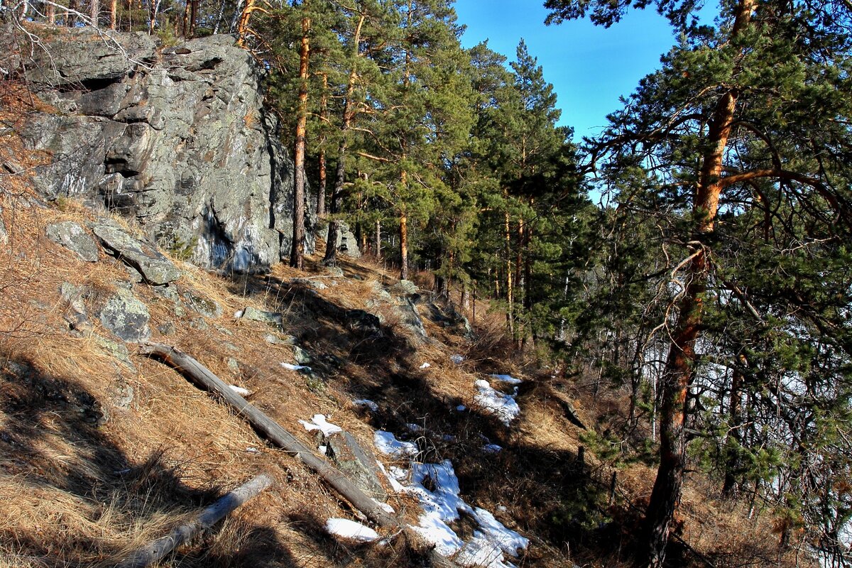 Скальные выходы на крутом склоне мыса Мендаркин нос