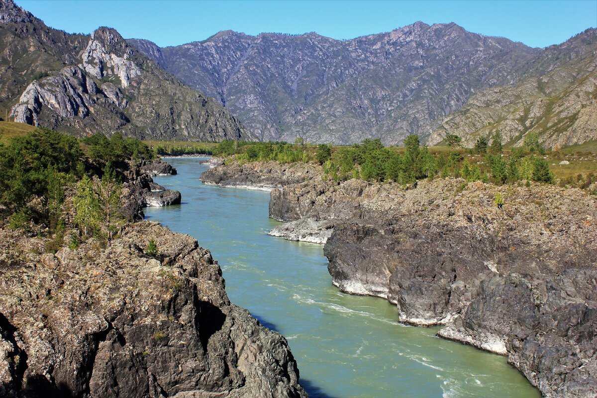 куюс республика алтай. ороктой горный алтай. чемал ороктойский мост горный алтай. гора куюс. ороктойский хребет алтай.