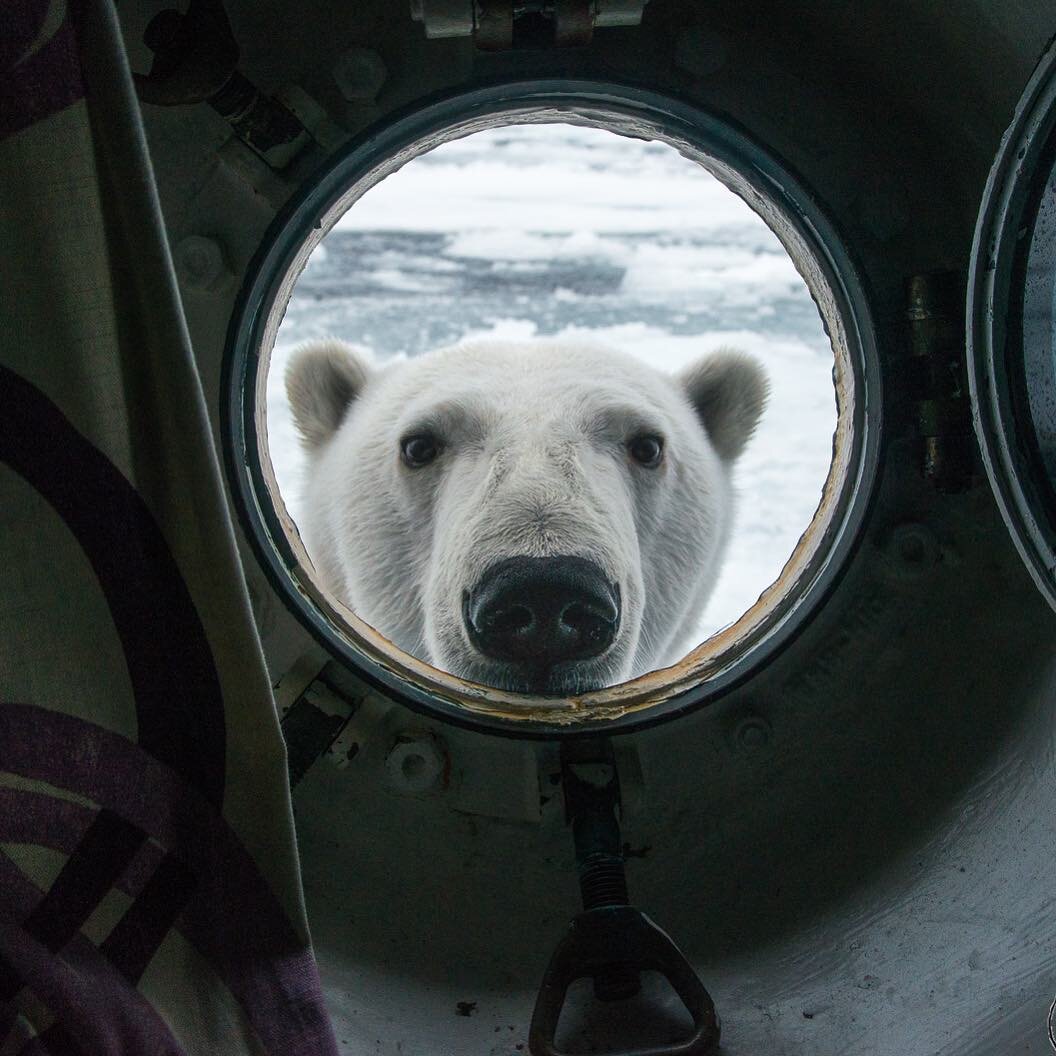 Выпросила у него эту фотографию. Ну разве не феерично?