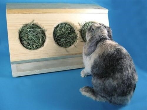 Сенник Для Декоративного Кролика – купить в интернет-магазине OZON по низкой цене