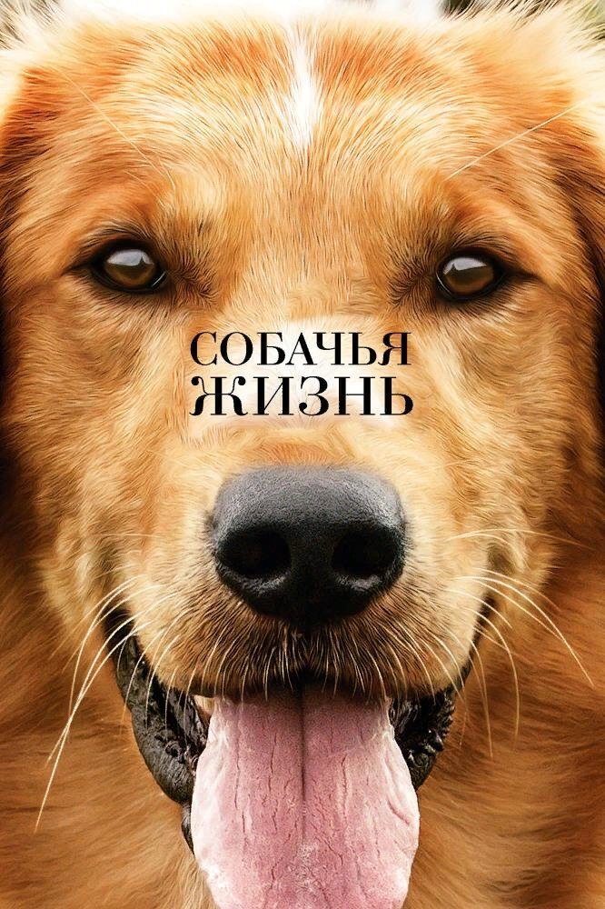 Фильм"Собачья жизнь"