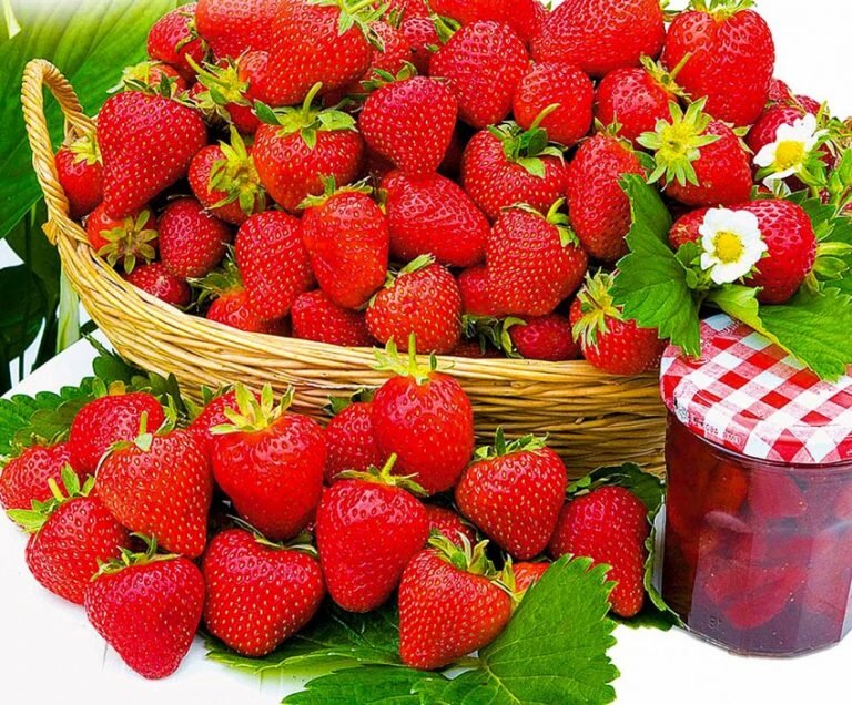 фото из интернета