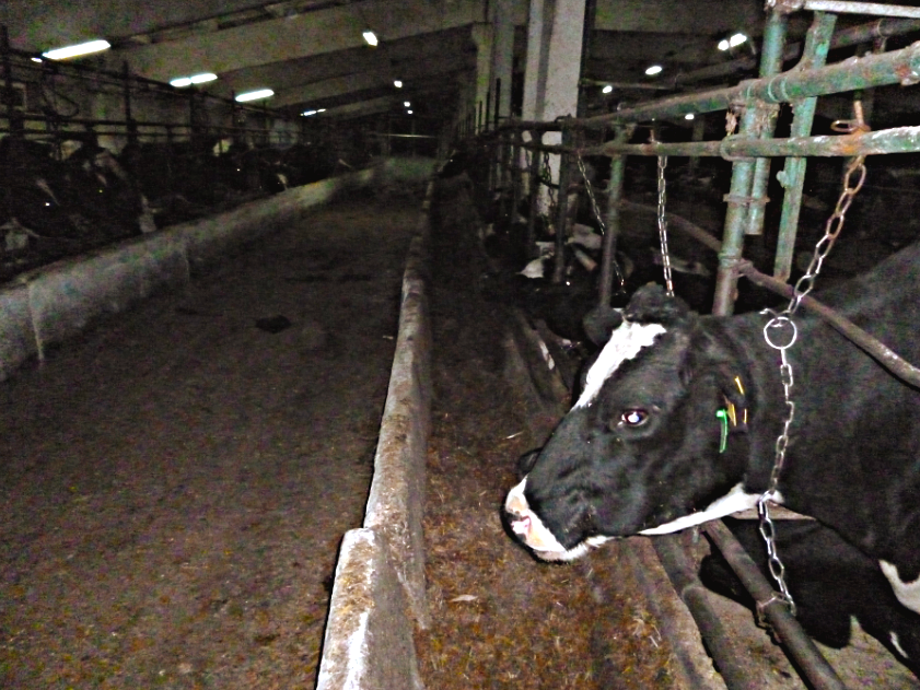 остатков нет