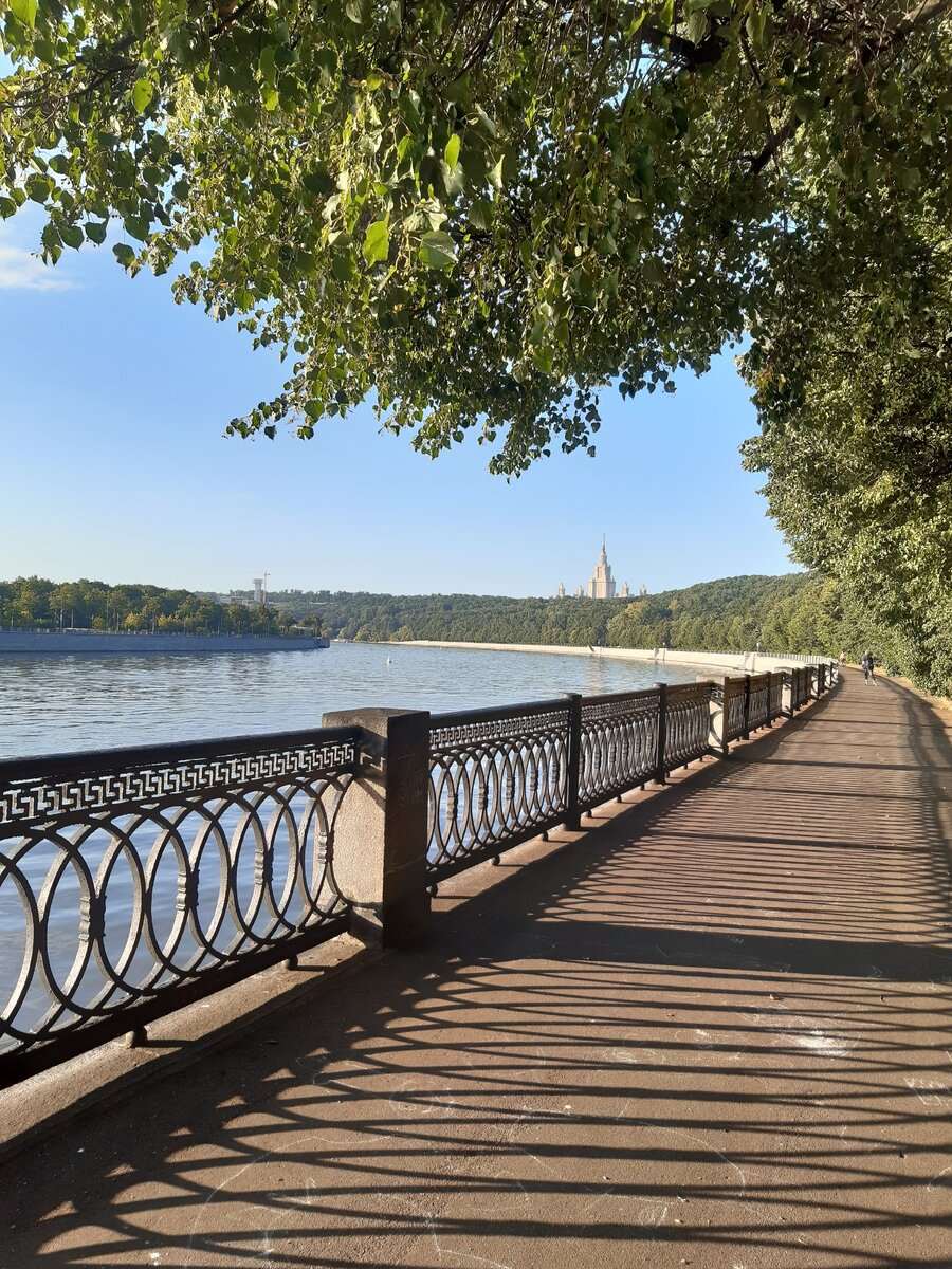 Пока на воле
