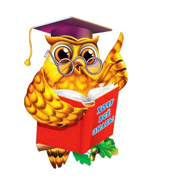 изображение с сайта https://avatars.mds.yandex.net/get-pdb/936467/a310f0ae-3ed9-425c-bd6b-997064f7062f/s1200?webp=false