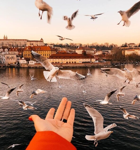 Как пережить развод