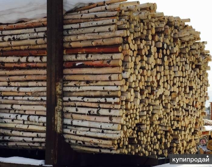 Фото из открытых источников.