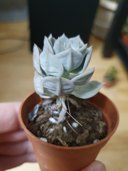 Немного с другого вида