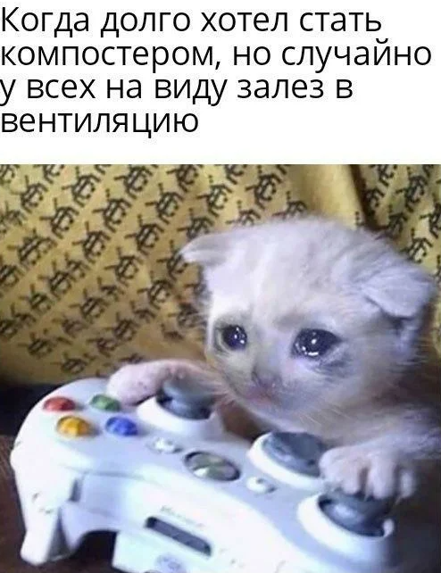 У меня такое было((