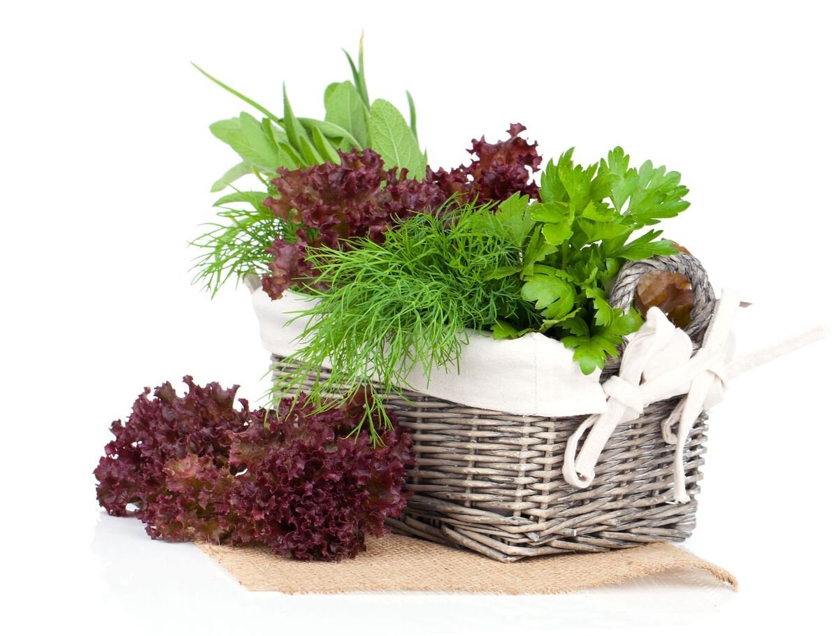 Источник: www.depositphotos.com 