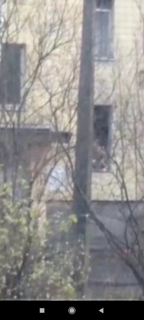 На скрине видео "Базы" видно, как Бельтюков выглядывает в окно, держа ребенка
