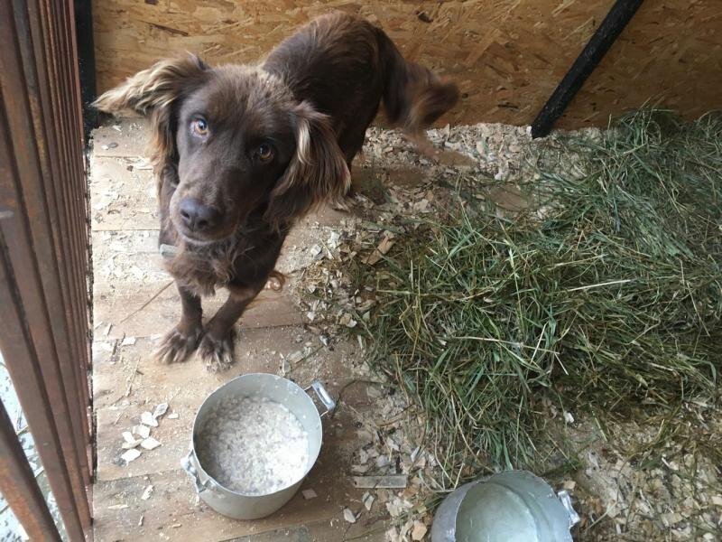 Фото: "Дорога Домой"