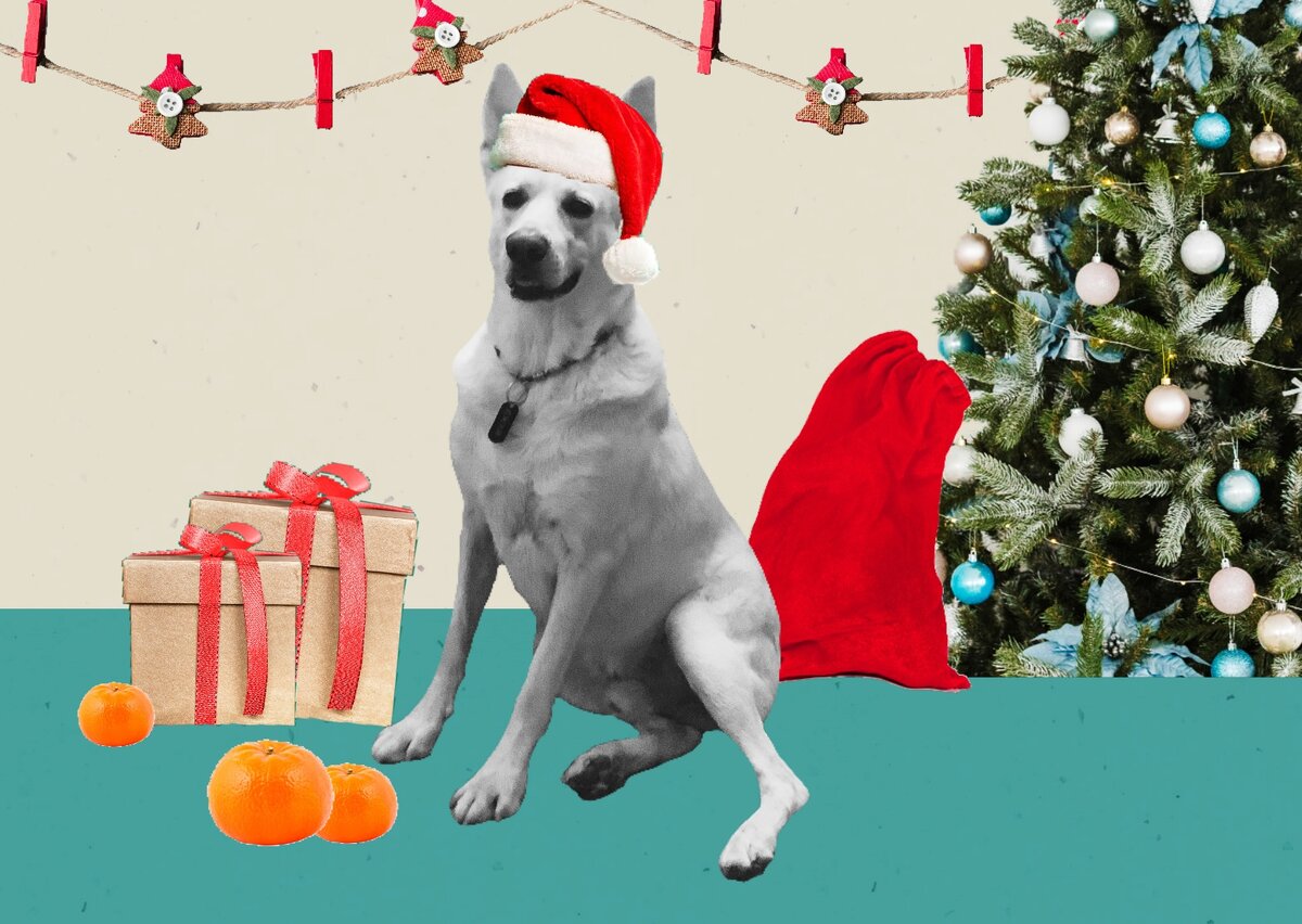 Фото для иллюстрации взяты из сети Интернет