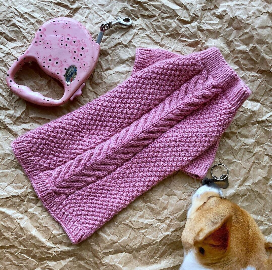 Схема вязания спицами свитера для собаки | Хобби и рукоделие