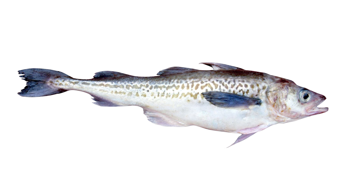 Источник: Яндекс. Картинки