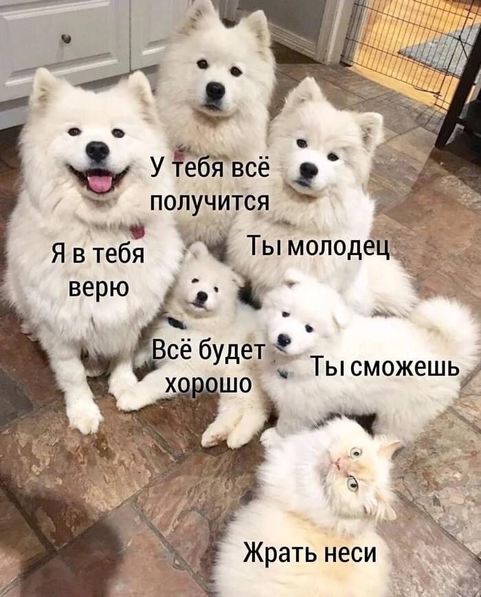 -2-3