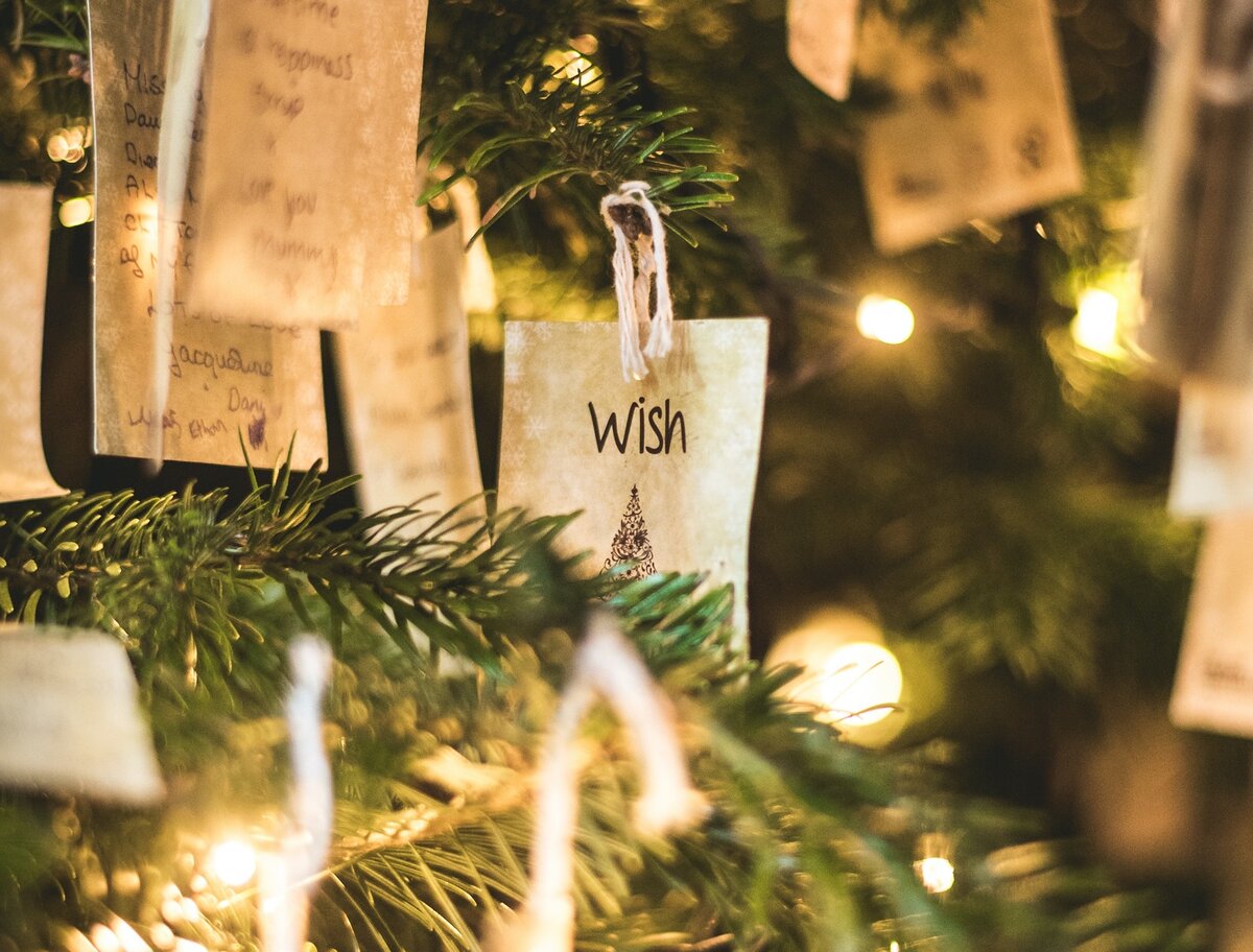 https://unsplash.com/@thefreak1337