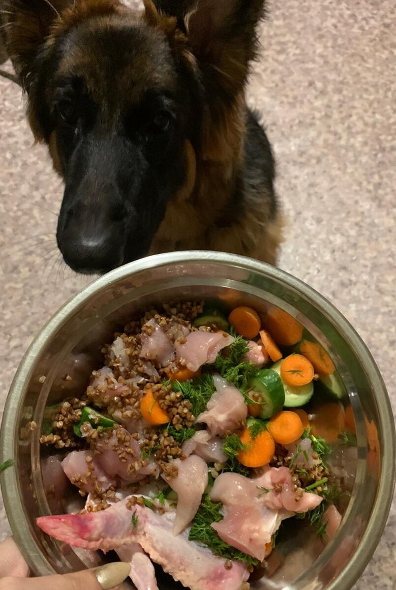 Красиво выглядит и вкусно кушается 😊 Отчёт учеников