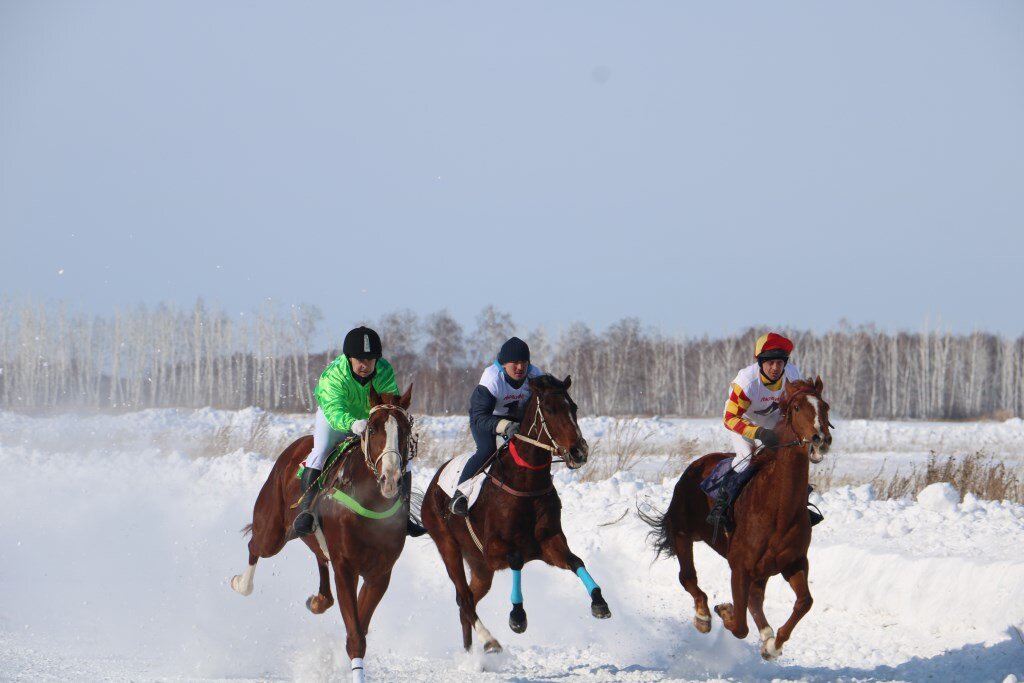Фото: https://vk.com/lub.vesti .