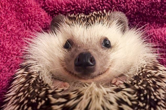 Источник фото https://fakty.com.ua