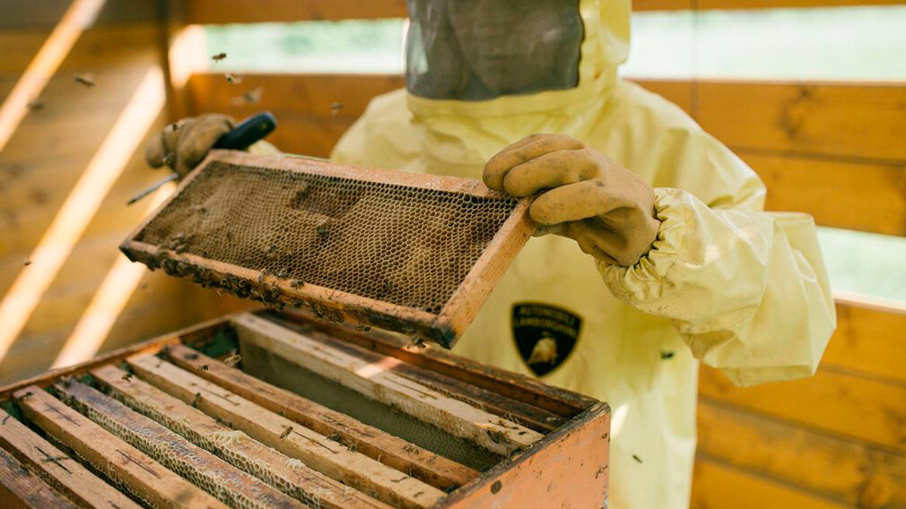 Фото: Lamborghini