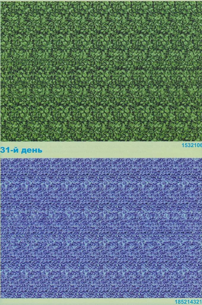 СТЕРЕОИЗОБРАЖЕНИЯ. День тридцать первый, упражнение второе. Концентрация на последовательности чисел из семи и девяти цифр