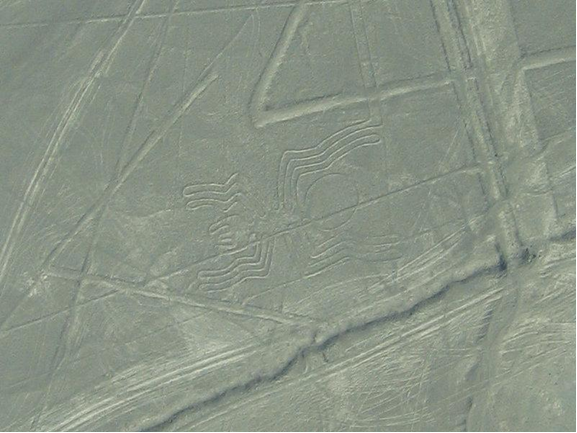 Паук. Автор: Raymond Ostertag - Сфотографировано загрузившим, CC BY-SA 3.0, https://commons.wikimedia.org/w/index.php?curid=2864829