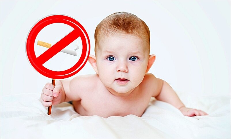 А я против, мамочка! Стоп, стоп! Фотоколлаж: из открытого источника.