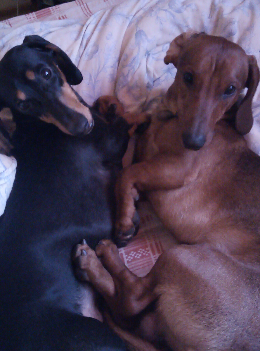                                                                            Фотография автора