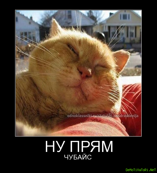 Фото из свободного доступа в Яндекс