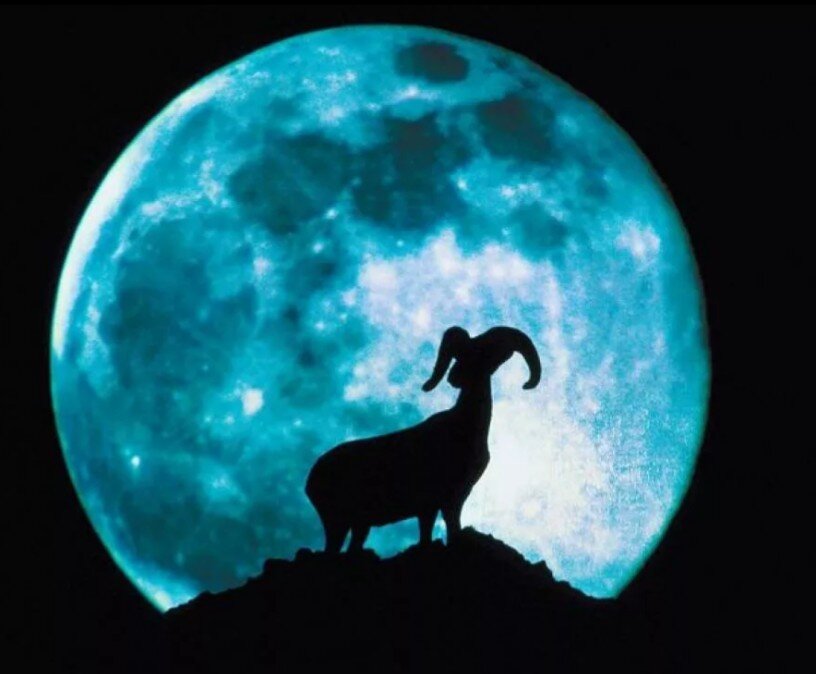 Ясное видение ситуации...