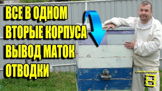 СТАВИМ ВТОРЫЕ КОРПУСА - ПОДГОТОВКА К ВЫВОДУ ПЧЕЛИНЫХ МАТОК И ПЧЕЛИНЫХ ОТВОДКОВ. ЛЮБИТЕЛЬСКОЕ ПЧЕЛОВОДСТВО ДЛЯ НАЧИНАЮЩИХ