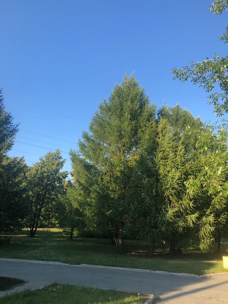 Парковая зона у входа в метро станции Машиностроителей