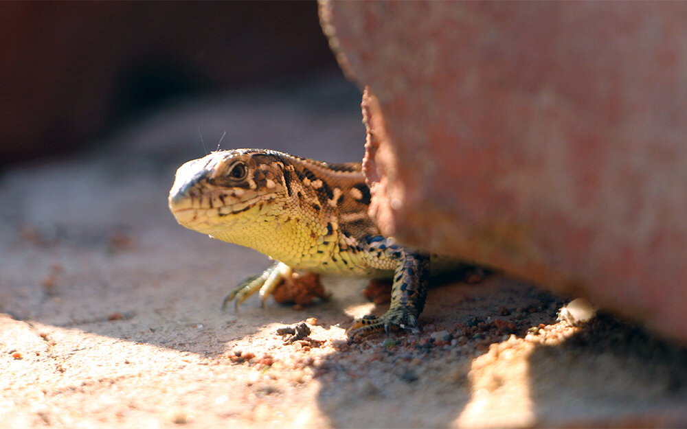 Фото автора. Снимок не имеет прямого отношения к истории, а лишь косвенно иллюстрирует публикацию.