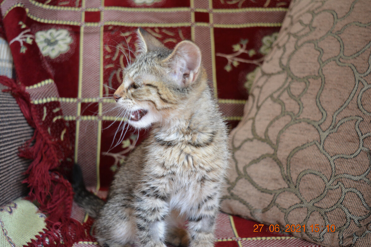 На передержке