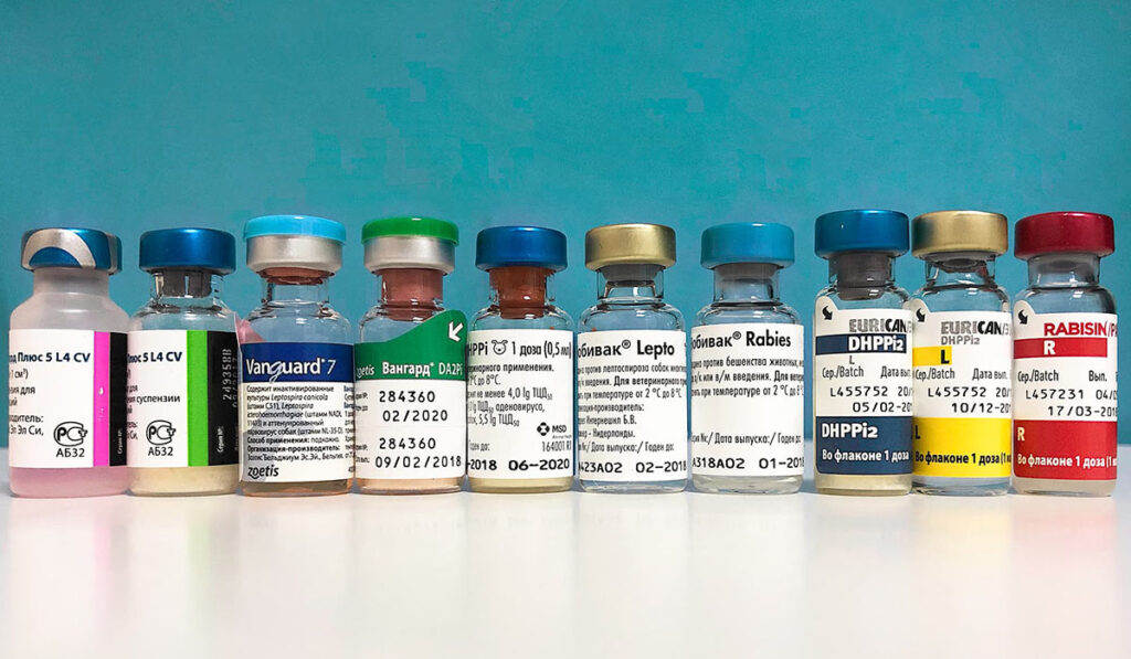 Разные бренды вакцин для собак