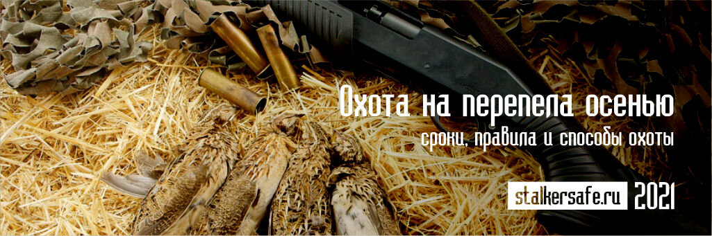 Источник интернет-магазин Stalkersafe.ru