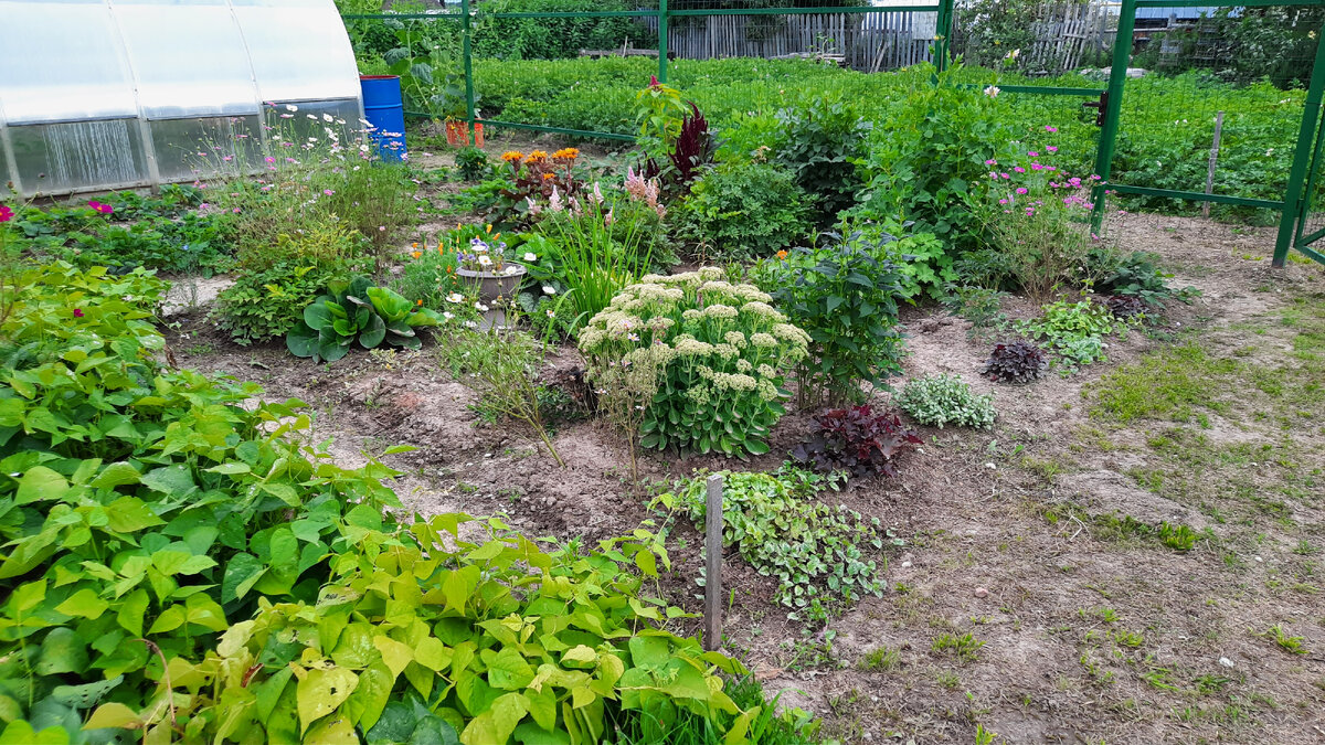 Фото из личной коллекции