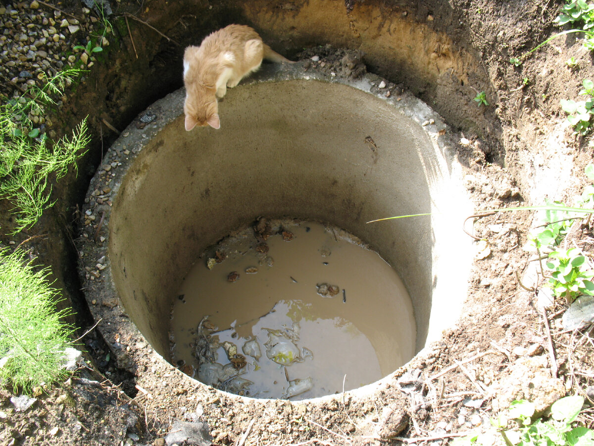 Интересно, чем это они там занимаются?