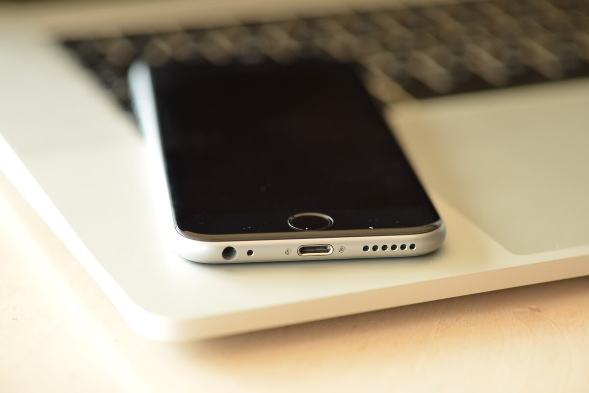 Фото: pixabay.com