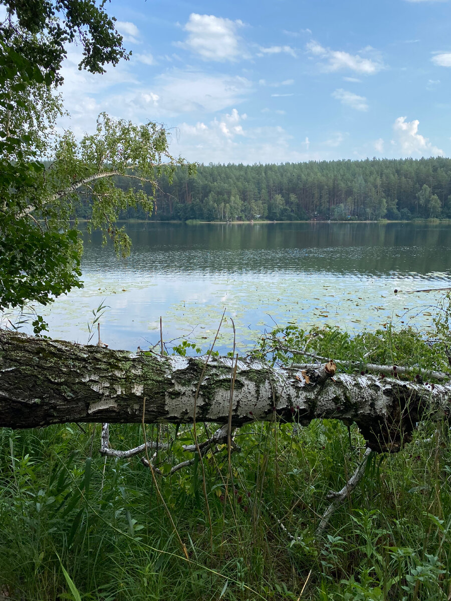 Озеро бараус рыбалка. Бараус озеро челябинск фото. Озеро бараус. Бараус озеро чебаркуль. Озеро бараус.